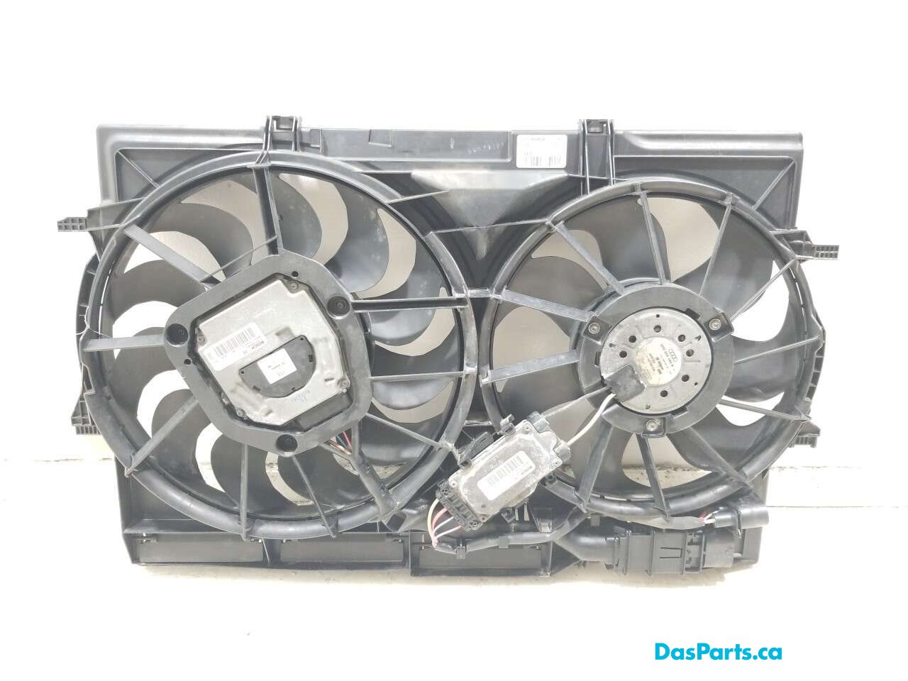 Rad Fan Assembly