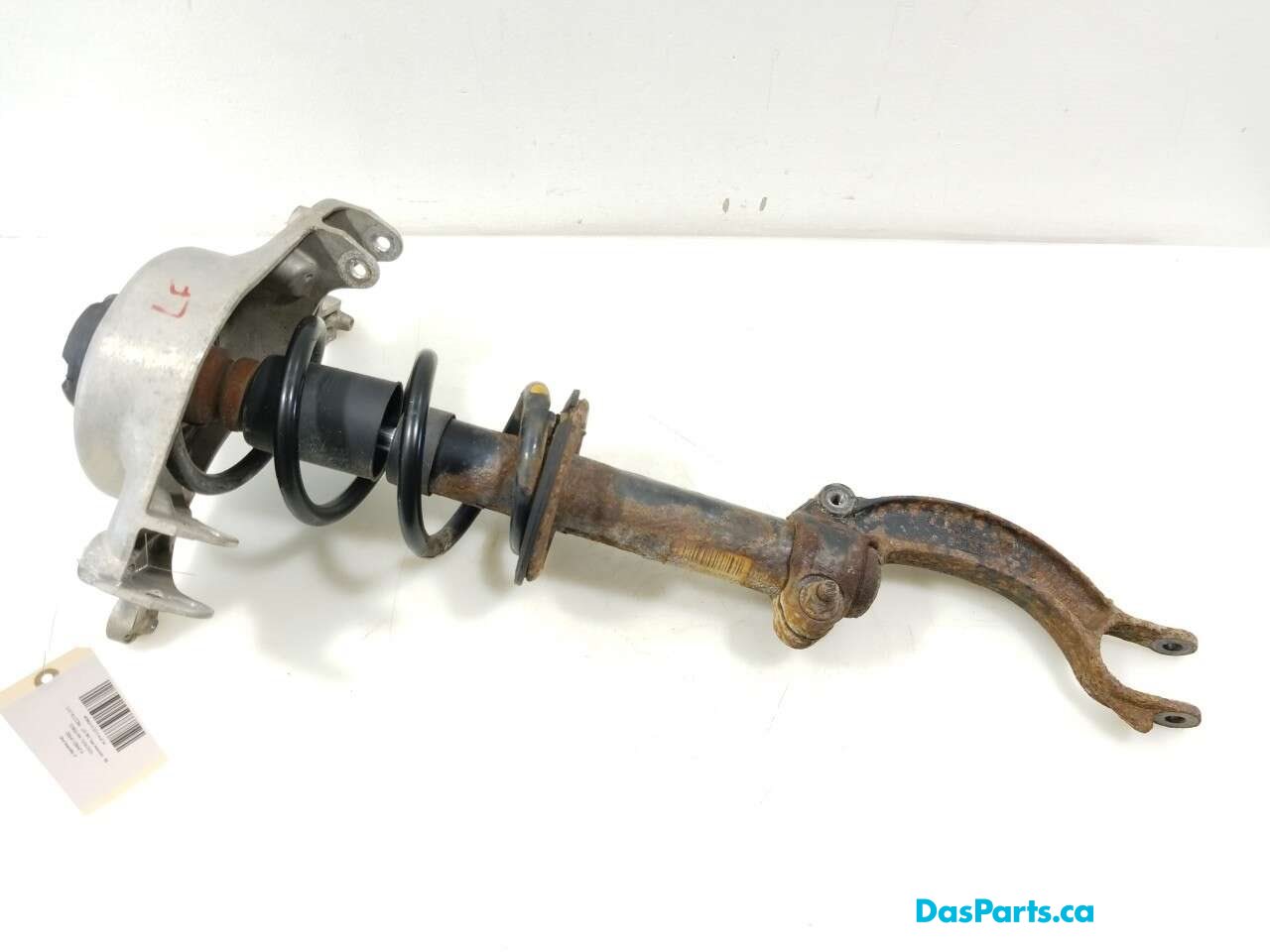Strut Assembly LF