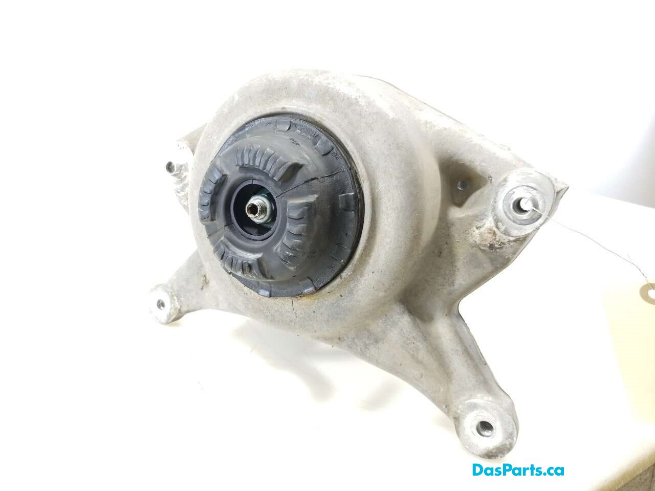 Strut Assembly LF