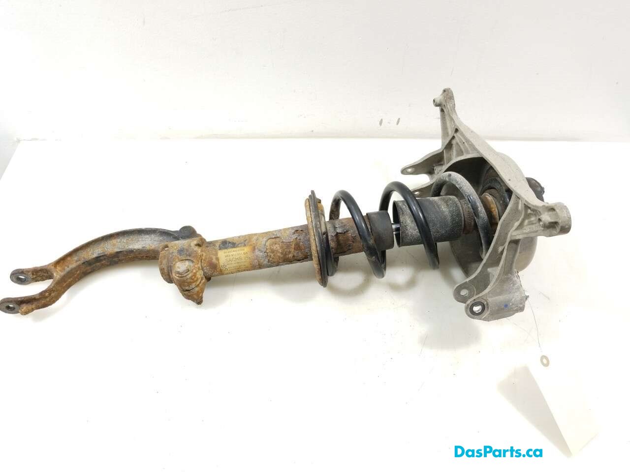 Strut Assembly LF