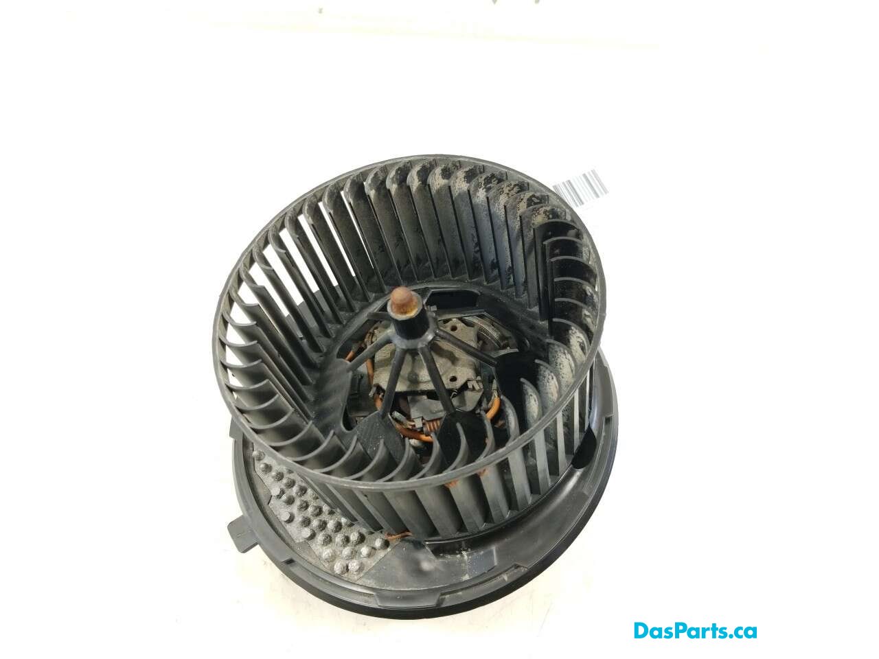 Blower Motor