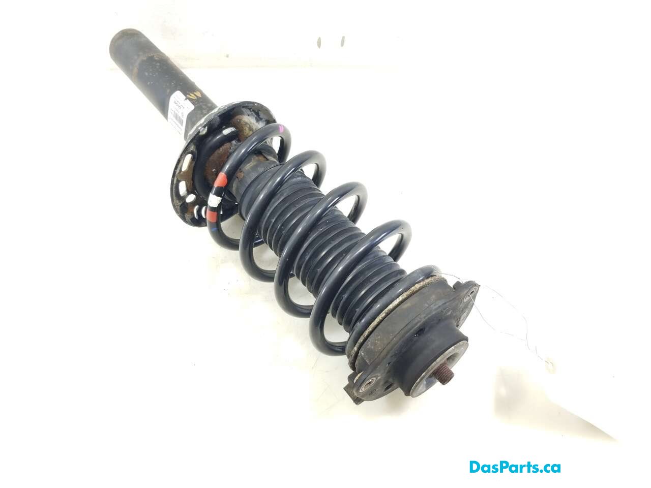 Strut Assembly LF