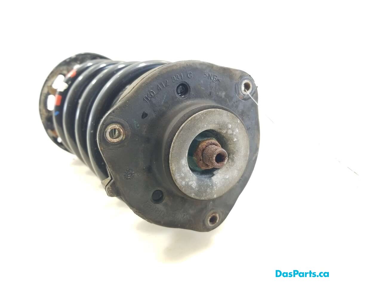 Strut Assembly LF