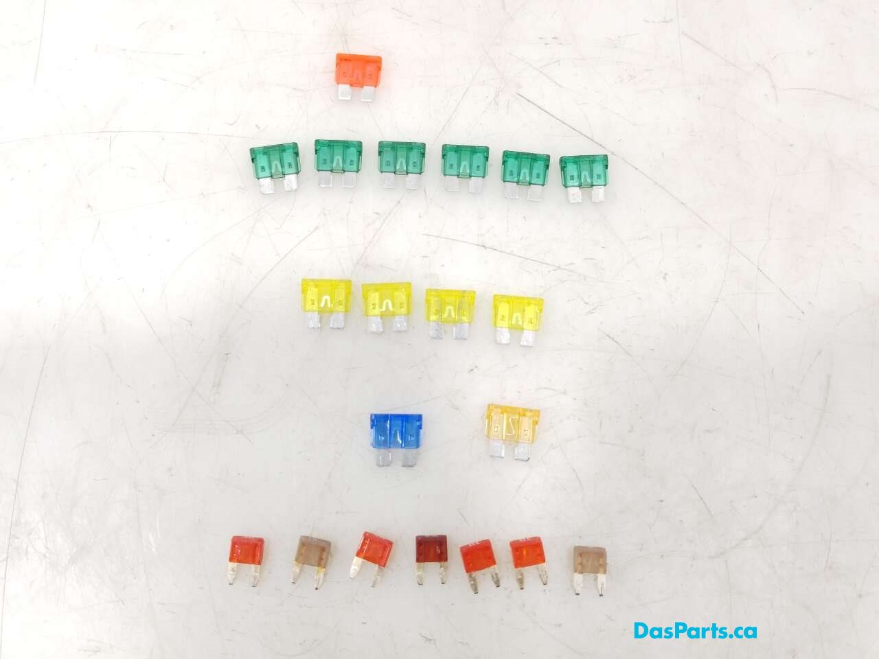 Variety Fuse Pack