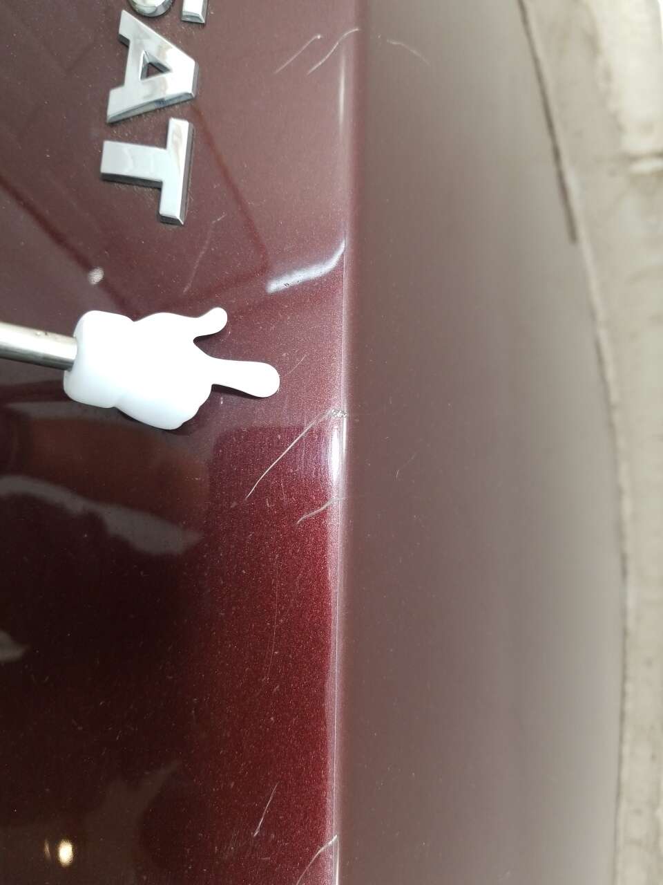 Trunk