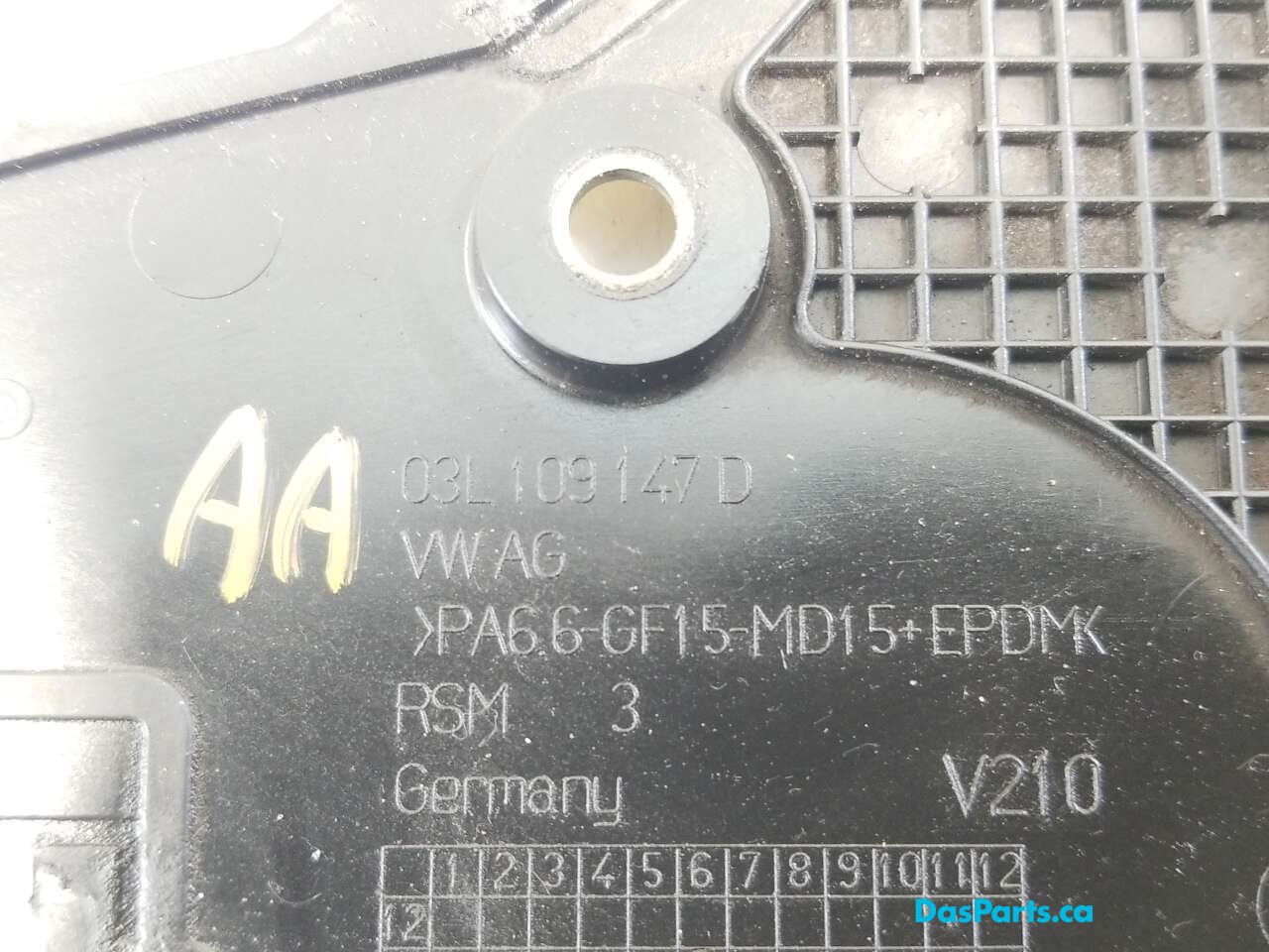 Timing Cover Lower