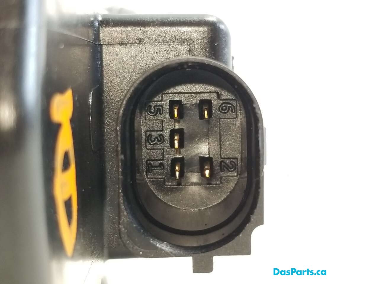 EGR Valve