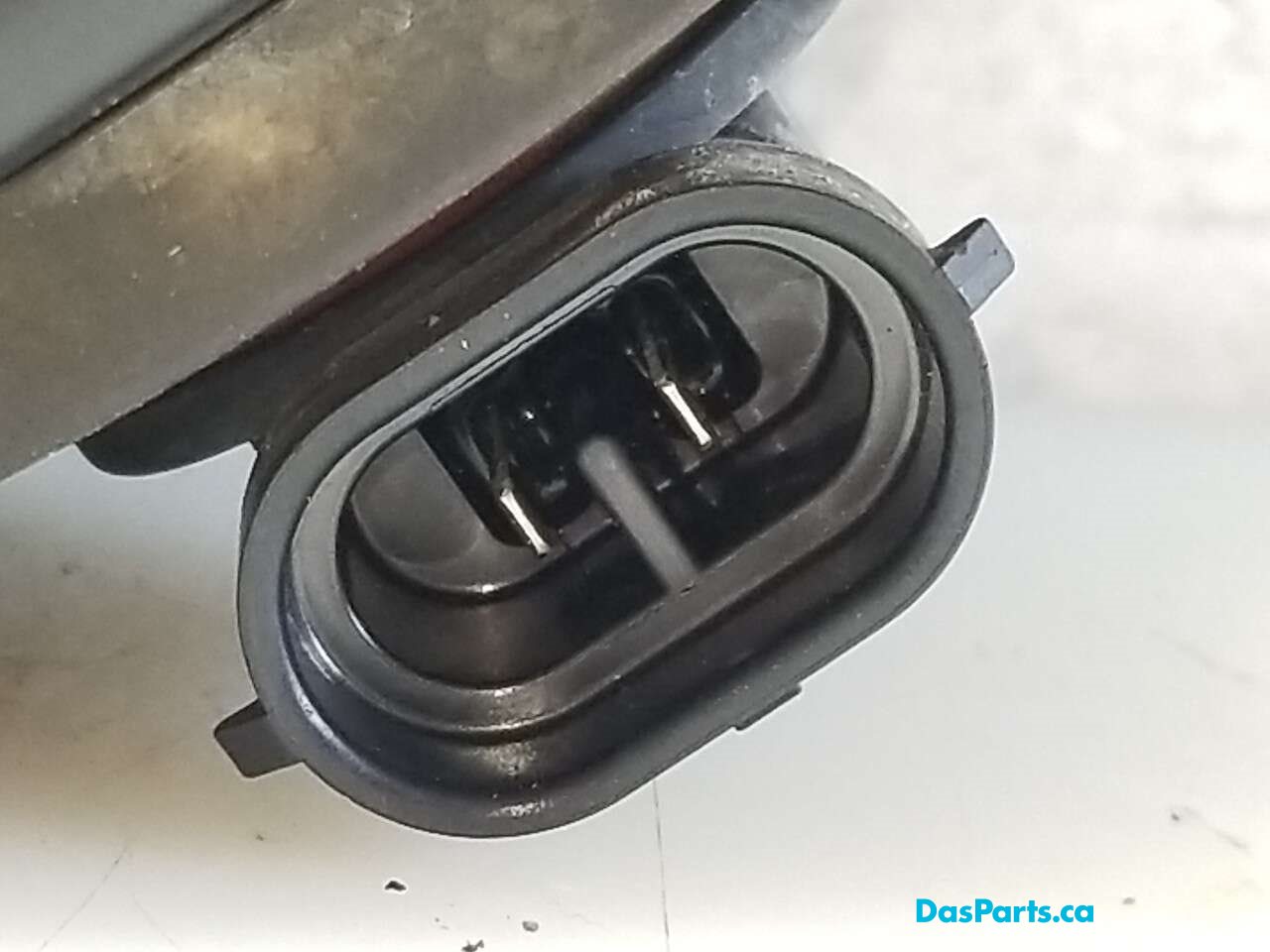 Fog Light L