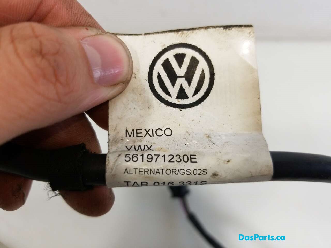Alternator Harness