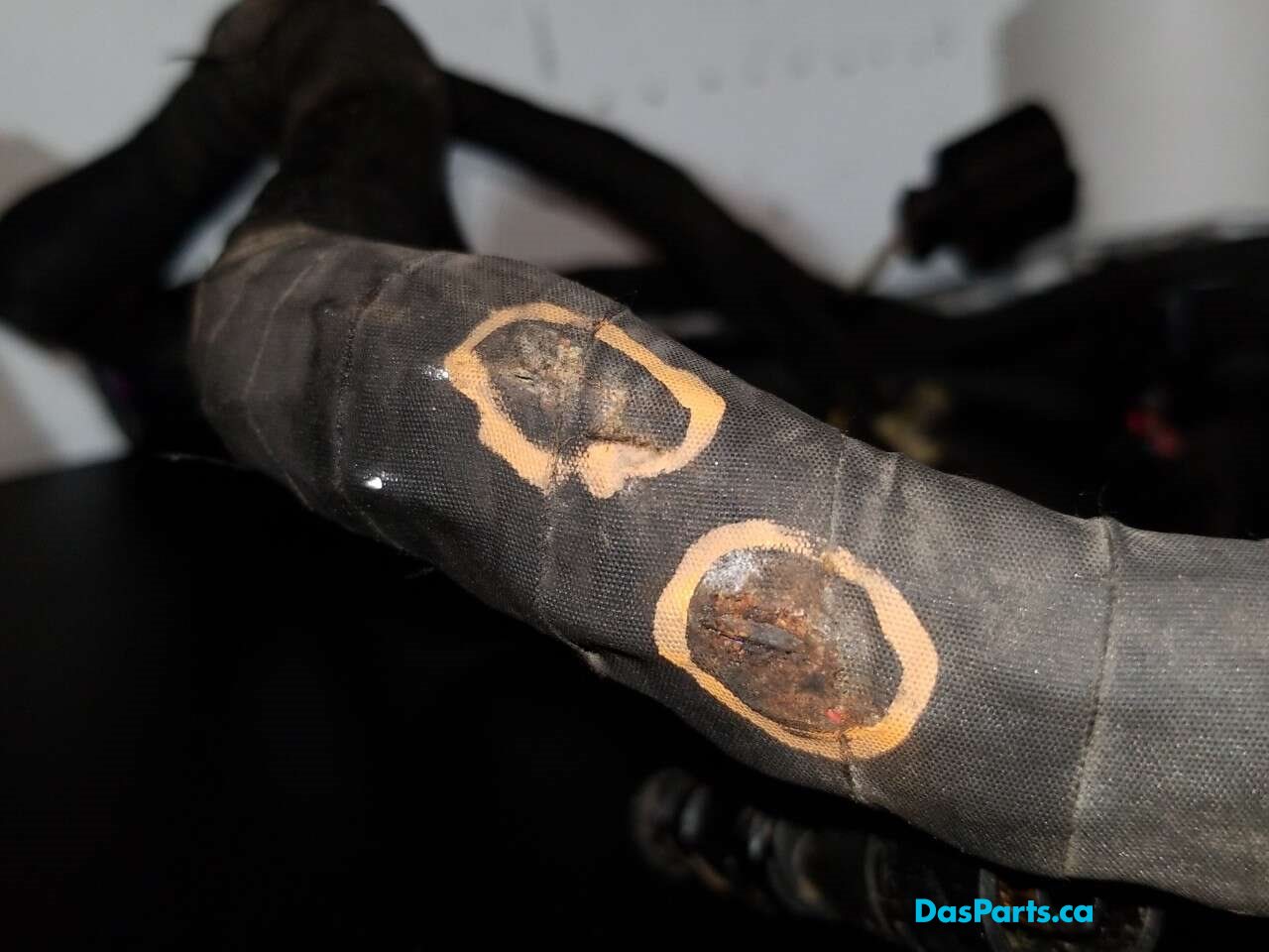 Main Engine Harness