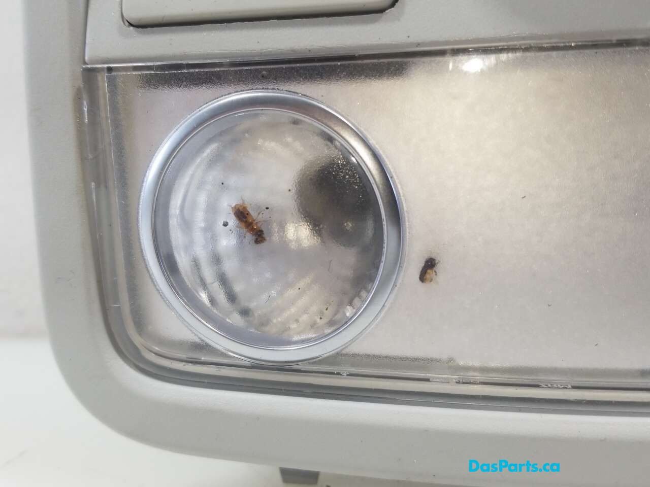Dome Light Assembly Front