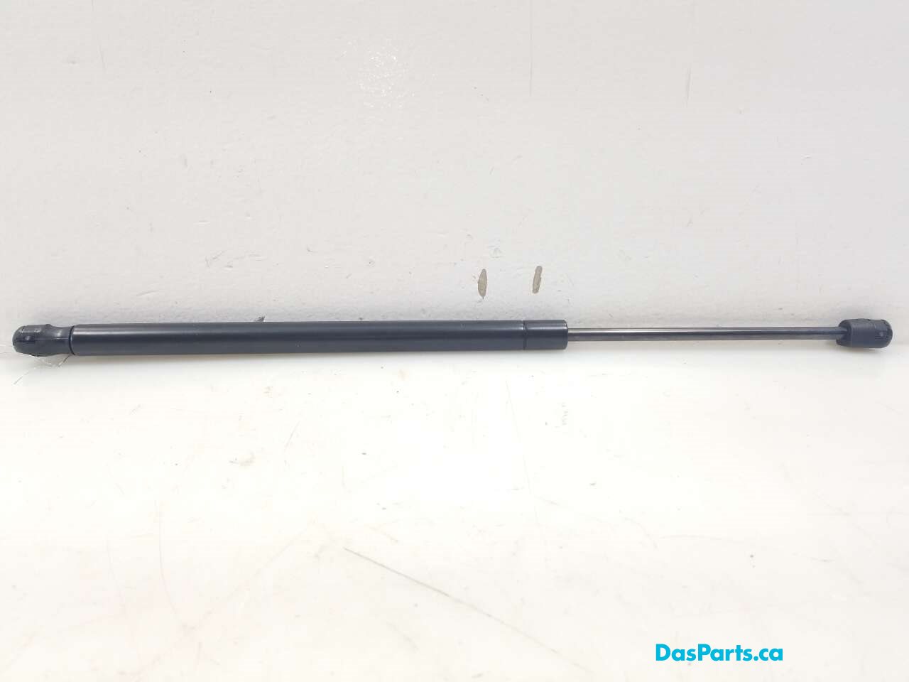 Trunk/Hatch Strut 1