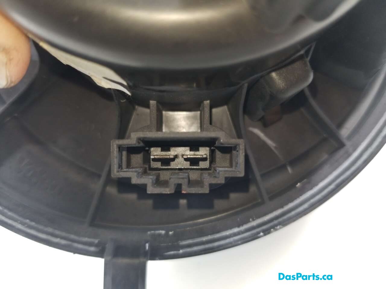 Blower Motor