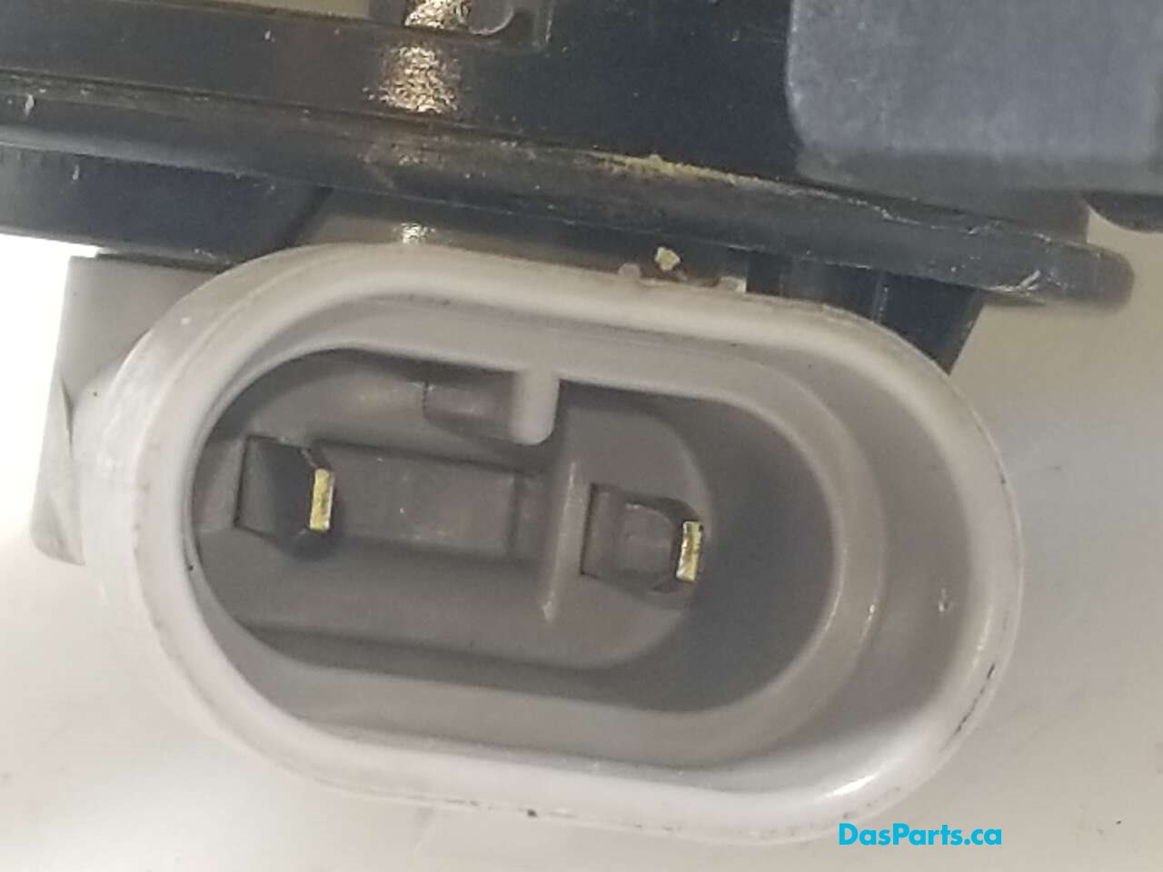 Fog Light R
