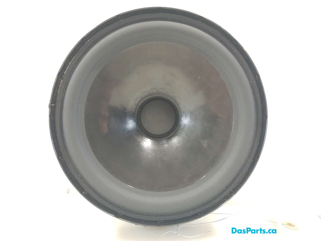 Speaker LR
