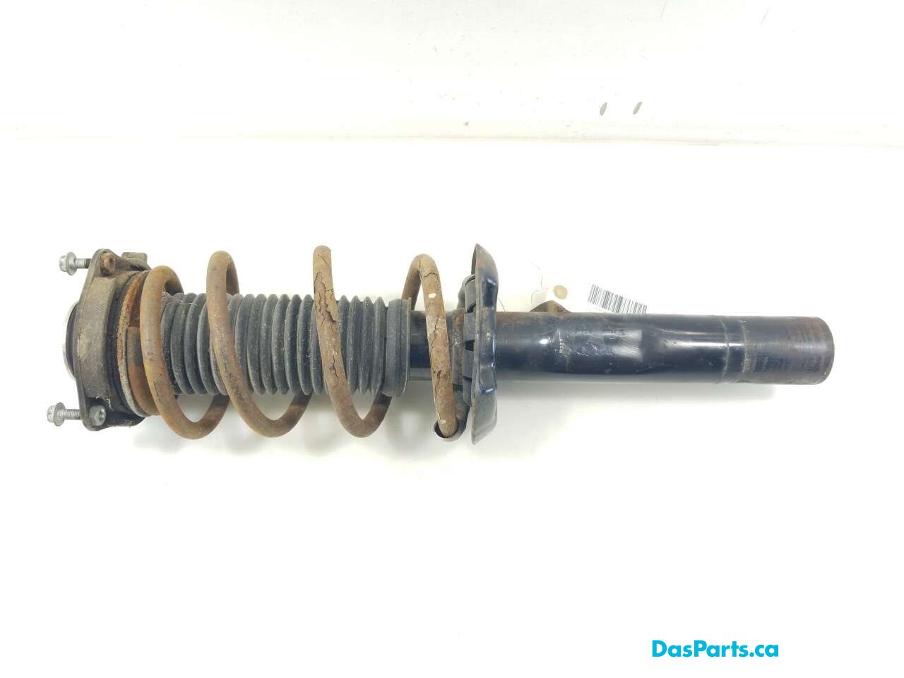 Strut Assembly RF