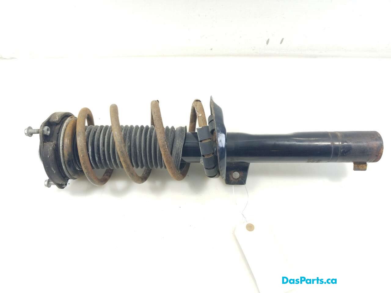Strut Assembly RF