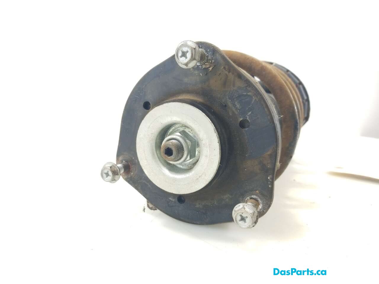 Strut Assembly RF