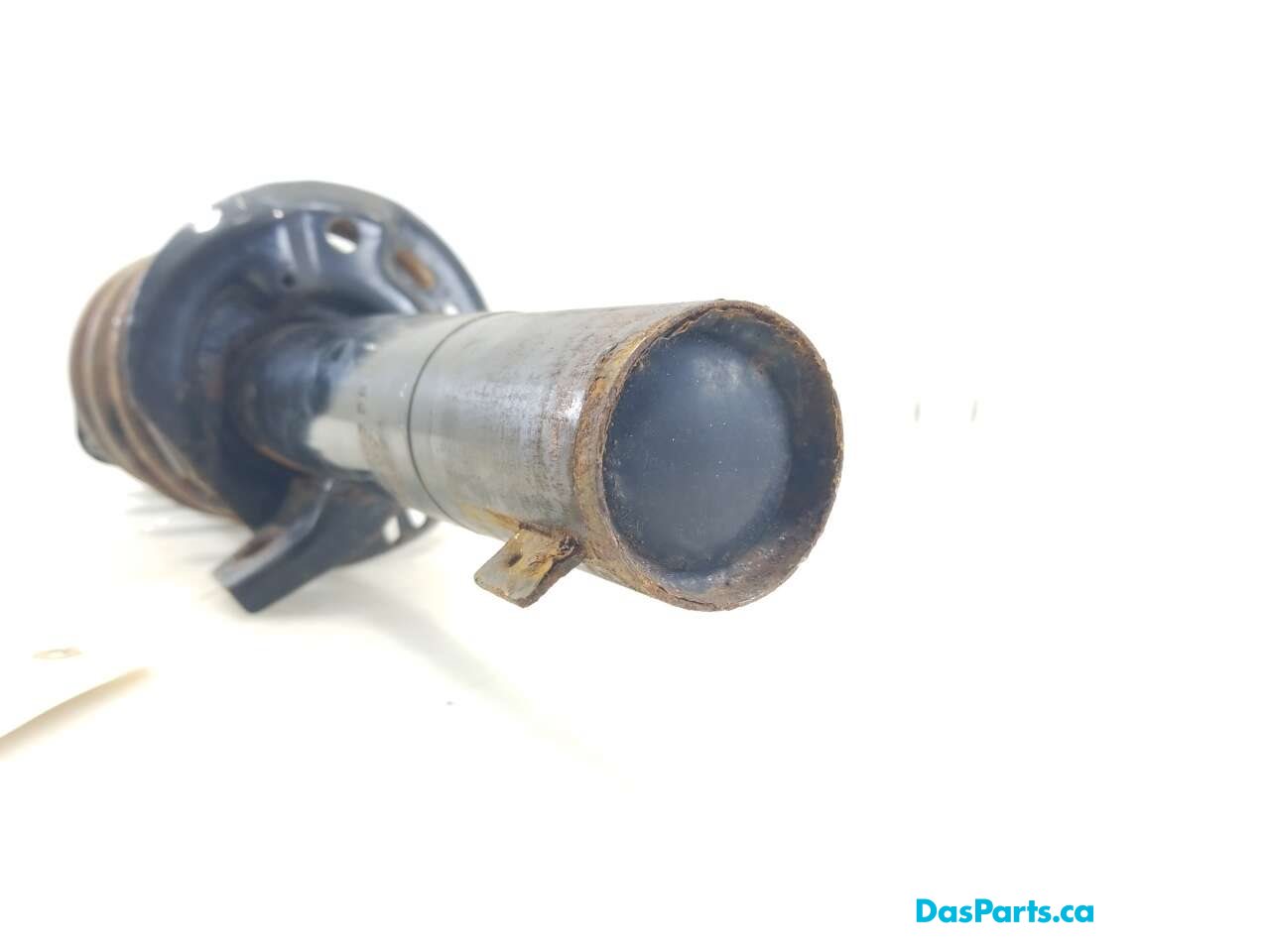 Strut Assembly RF