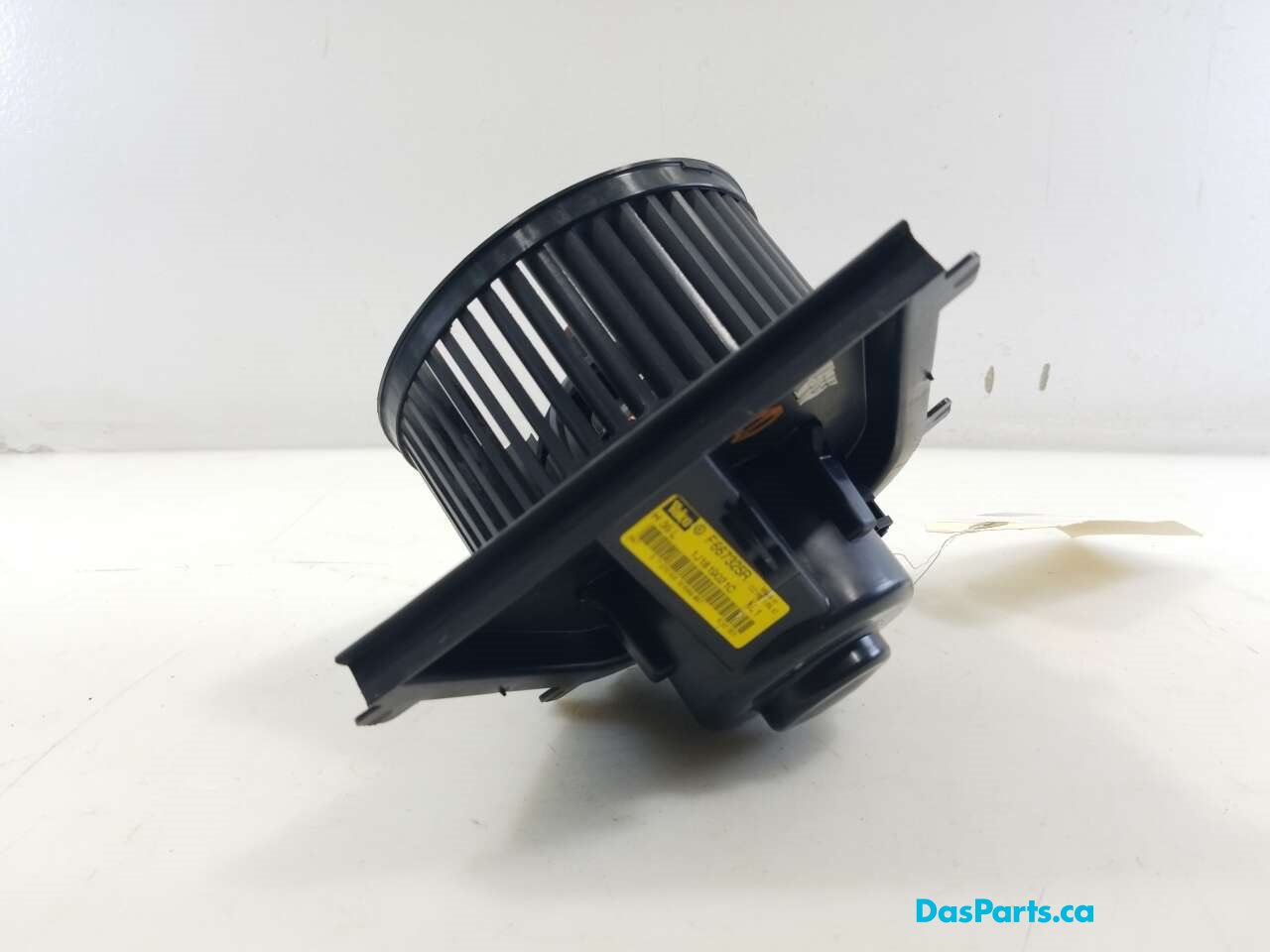 Blower Motor