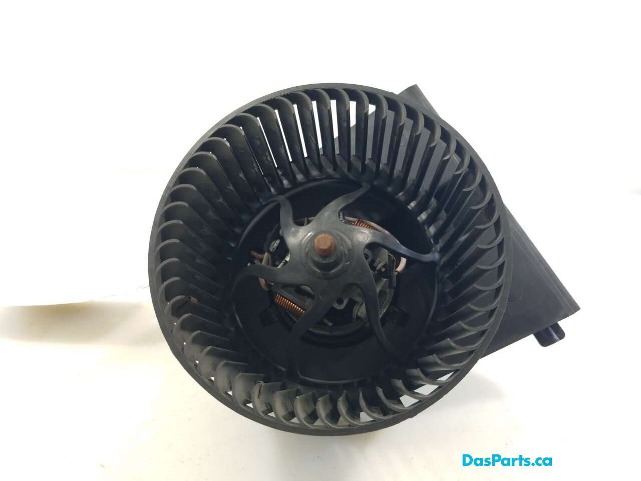 Blower Motor