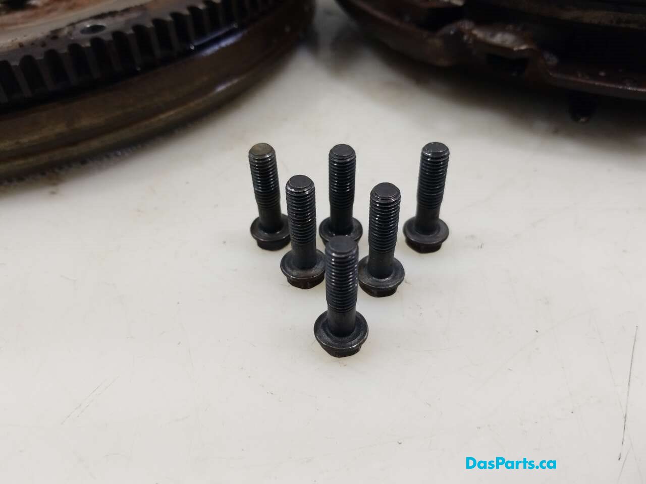 Clutch Assembly