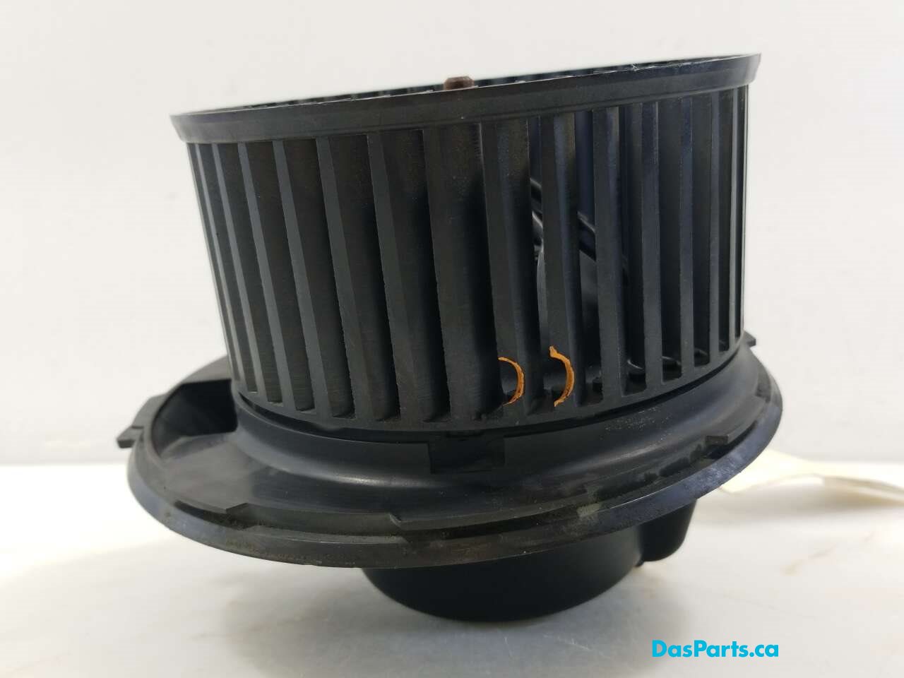 Blower Motor