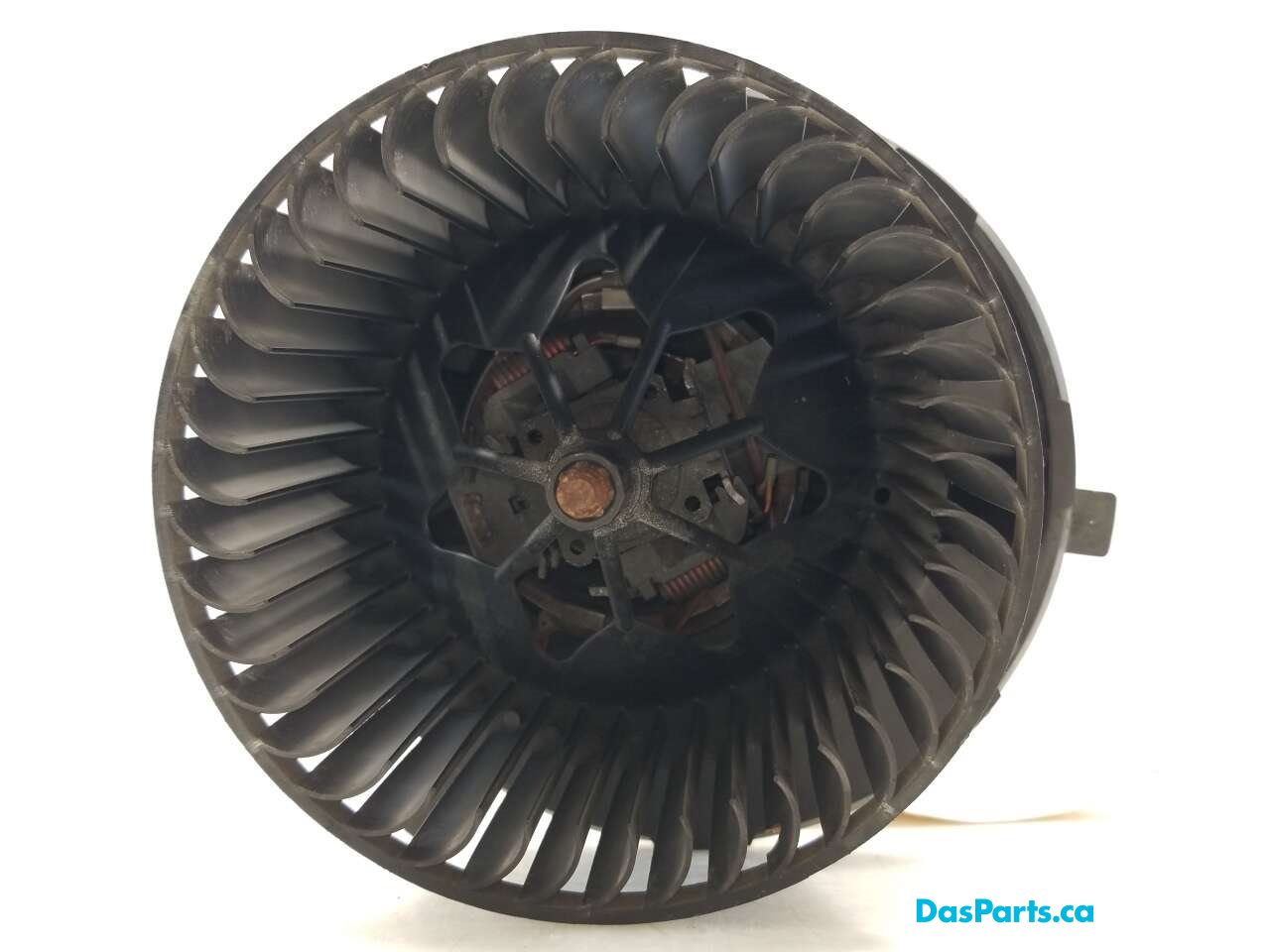 Blower Motor