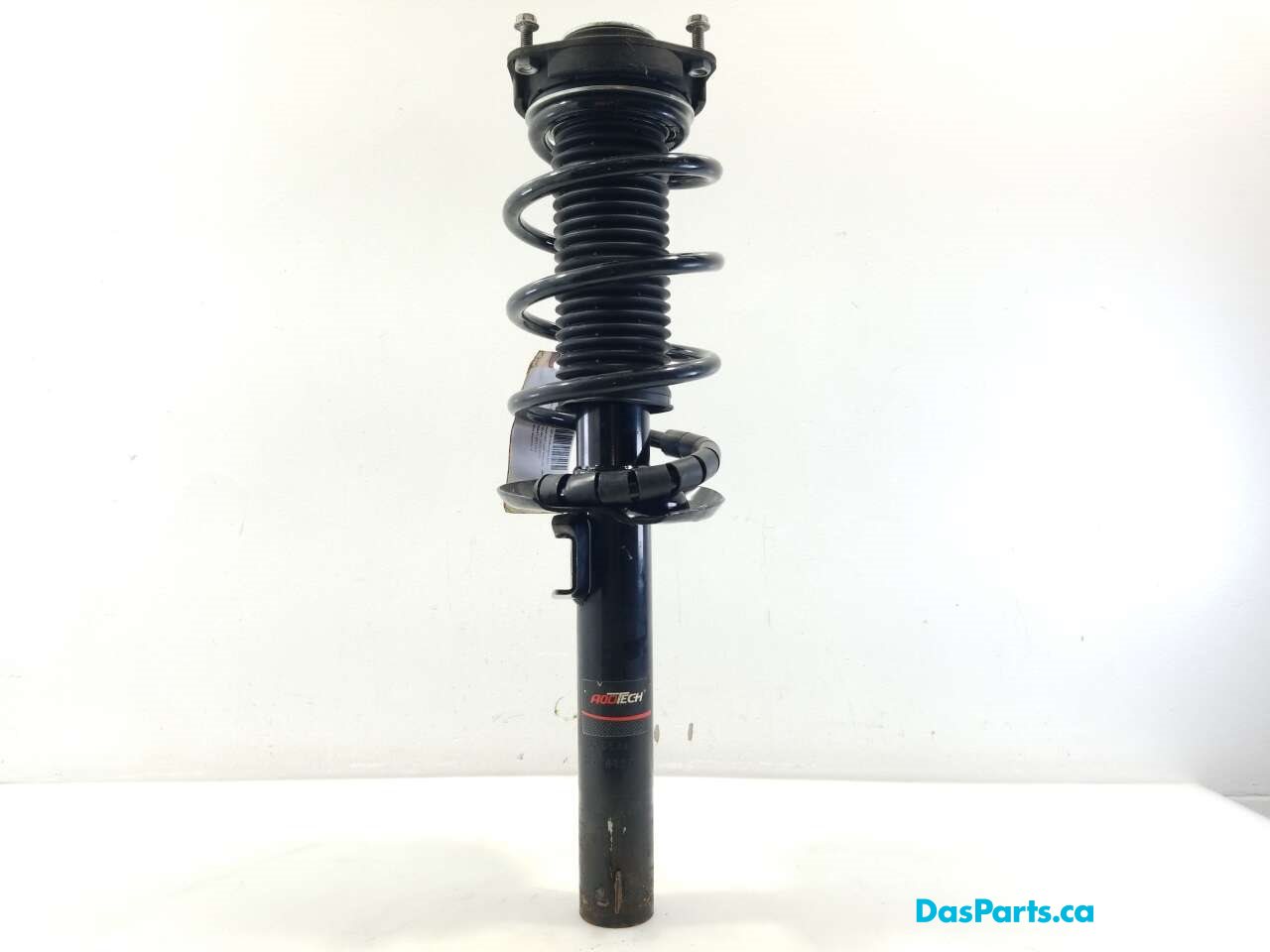 Strut Assembly LF