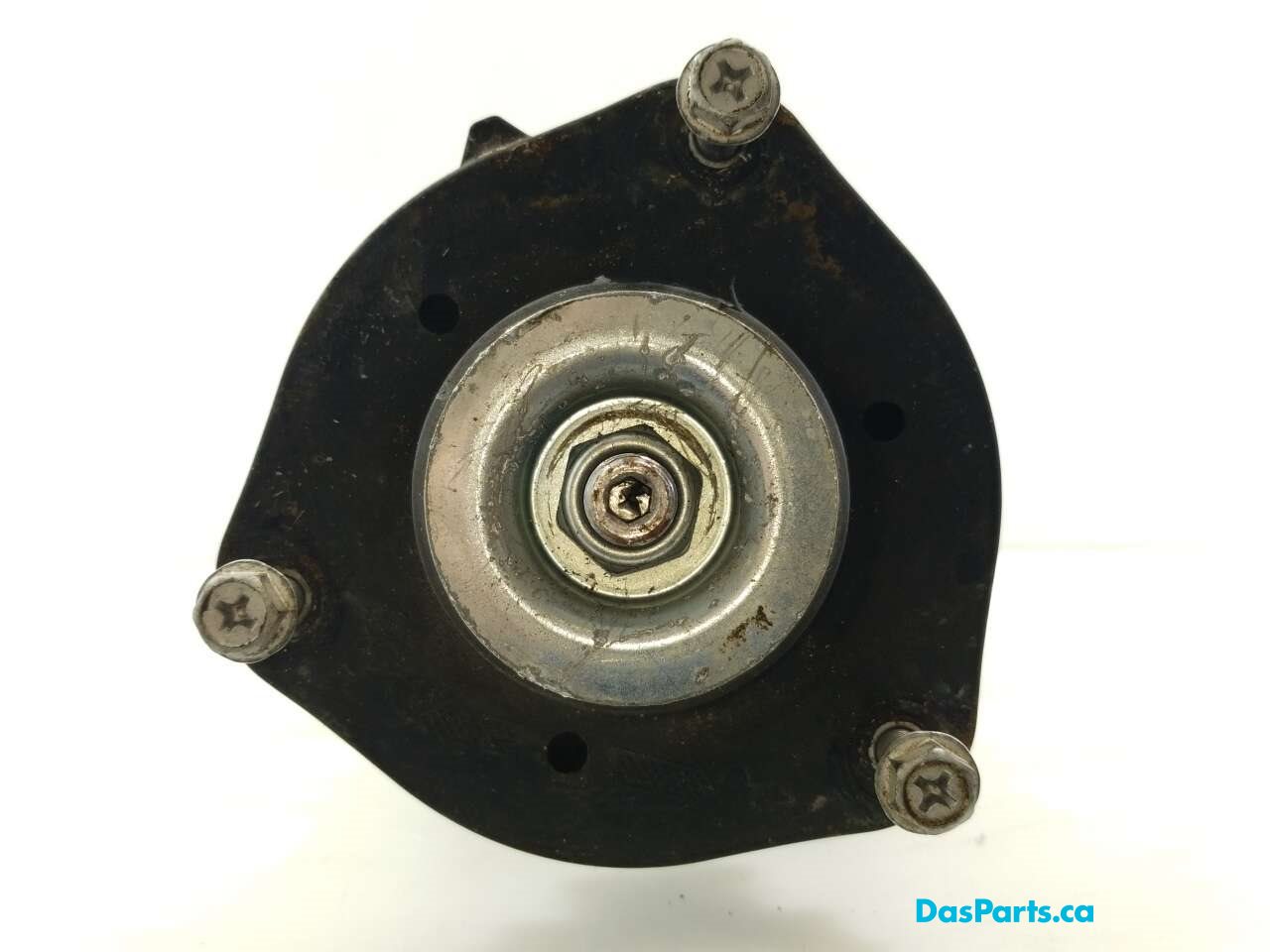 Strut Assembly LF