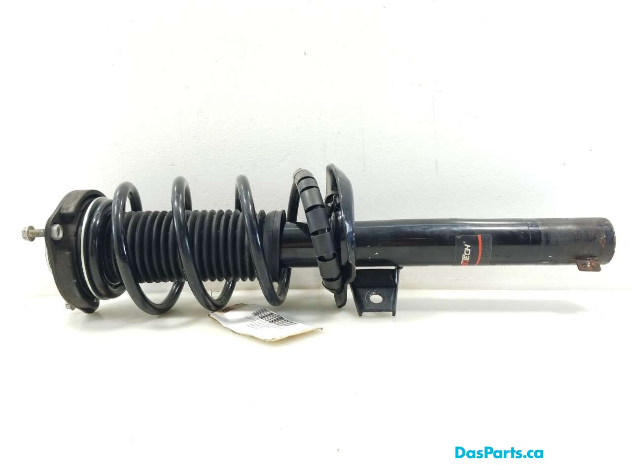 Strut Assembly LF