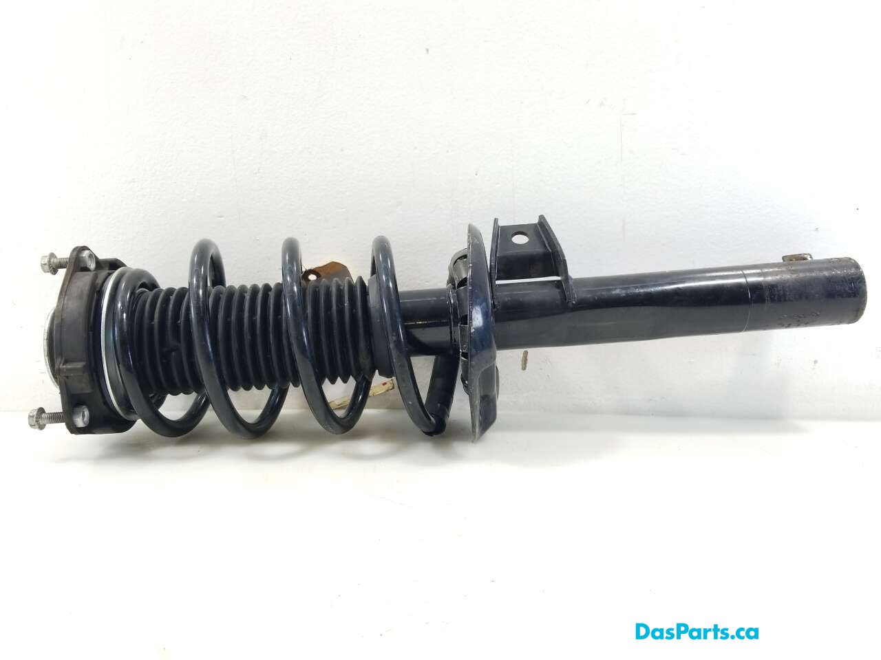 Strut Assembly LF