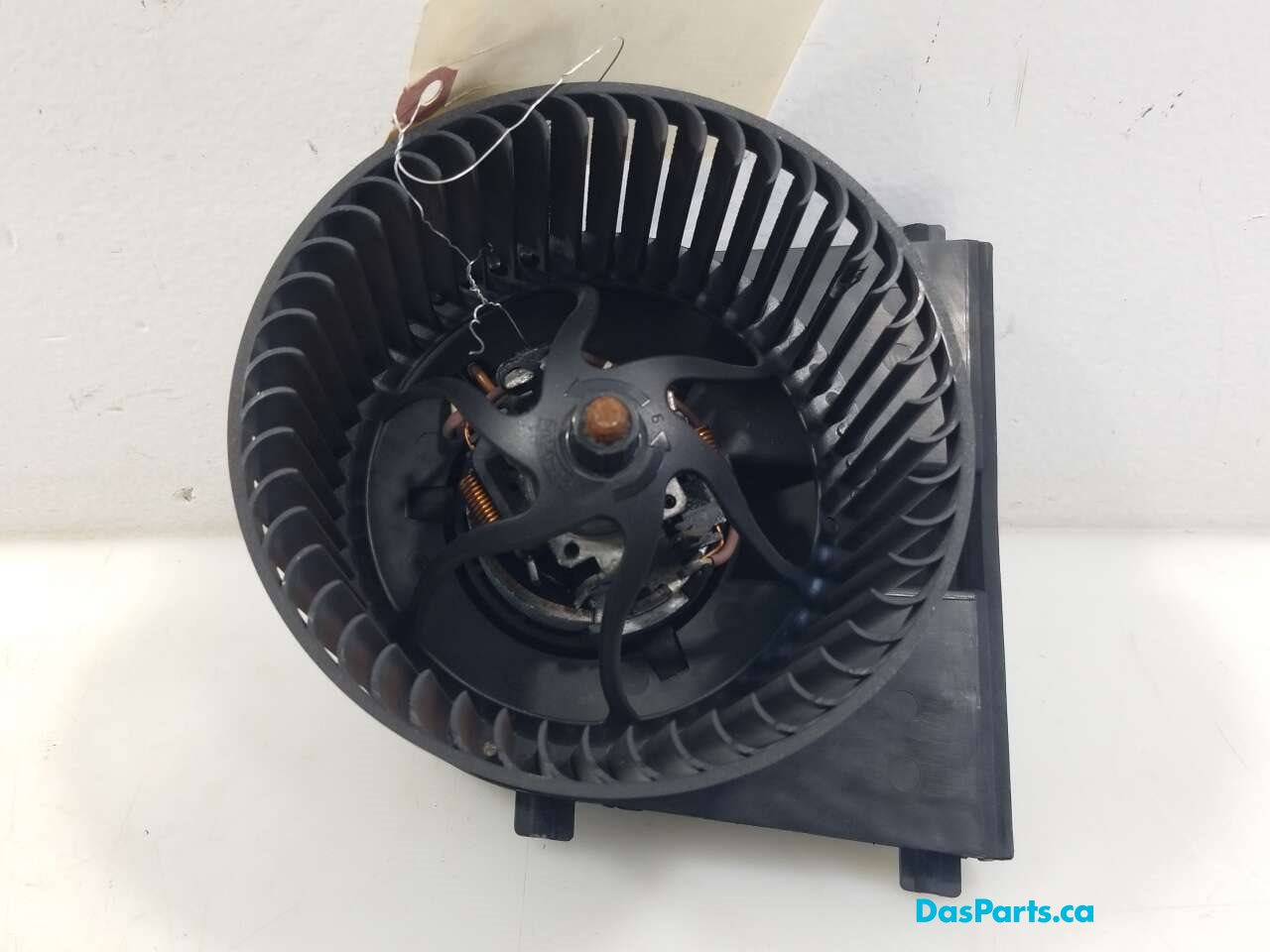 Blower Motor