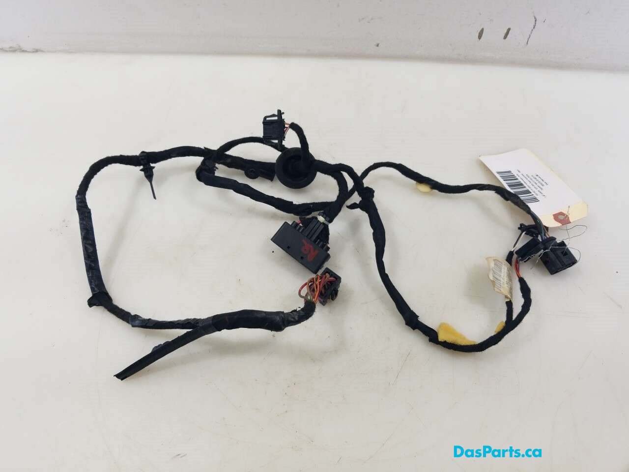 Door Harness RR 1