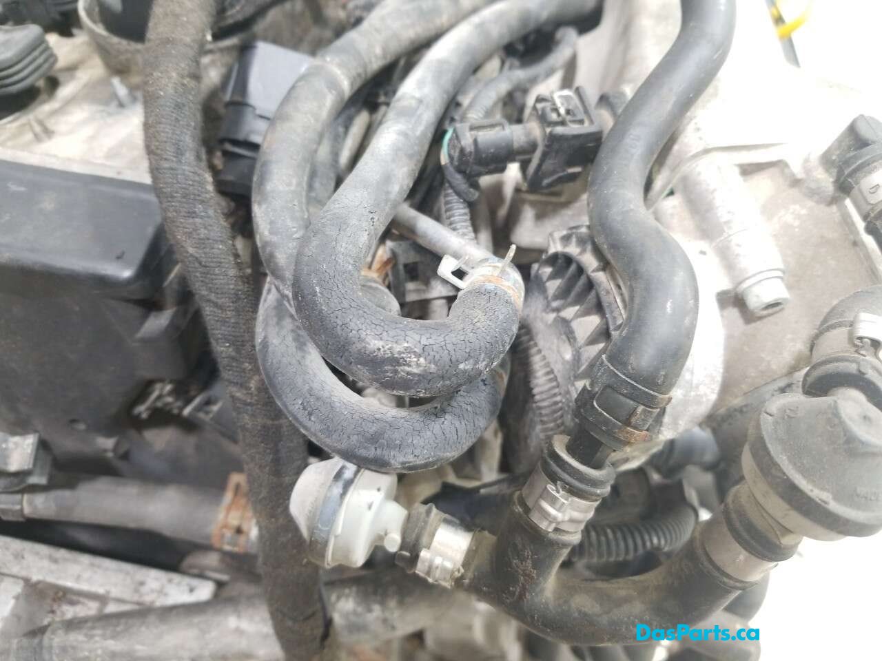 Engine Ass. Complete