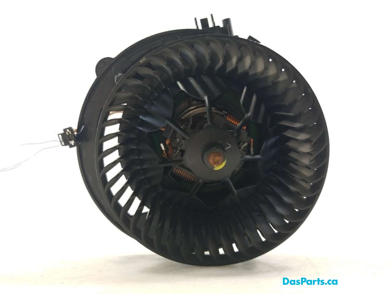 Blower Motor