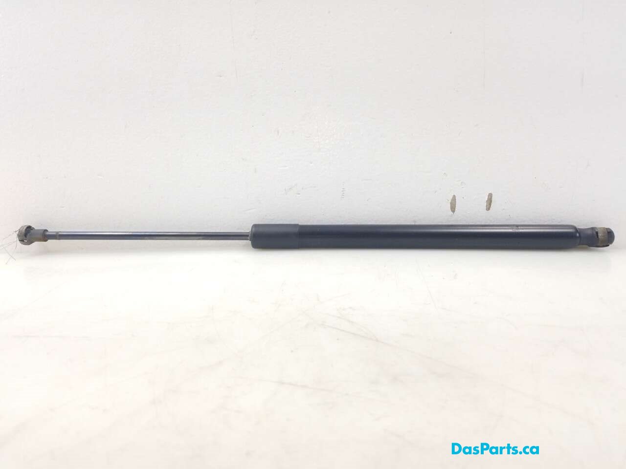 Trunk/Hatch Strut 1