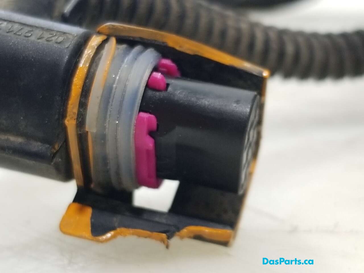 Main Engine Harness