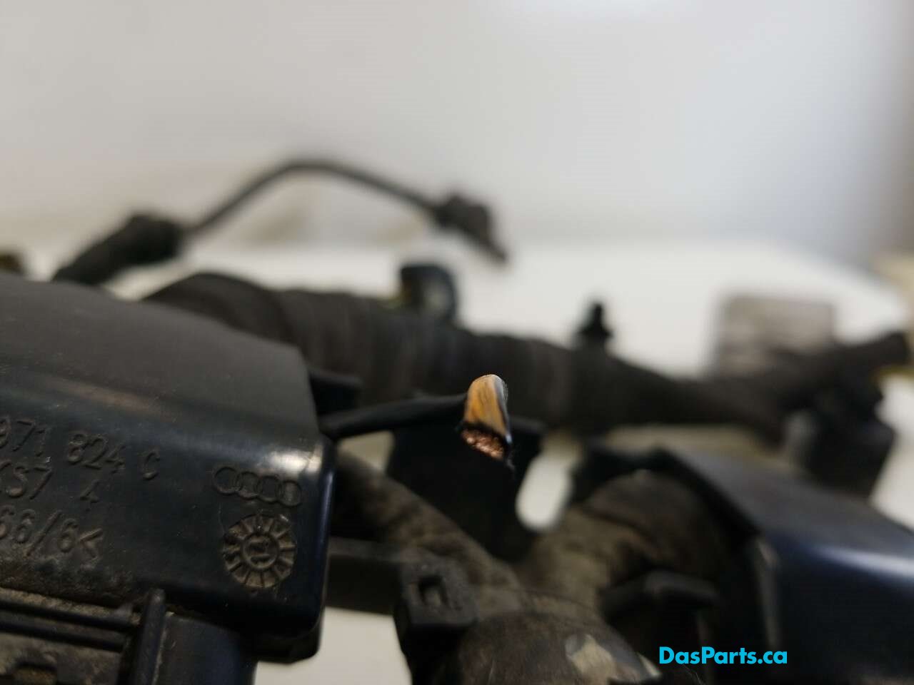 Main Engine Harness