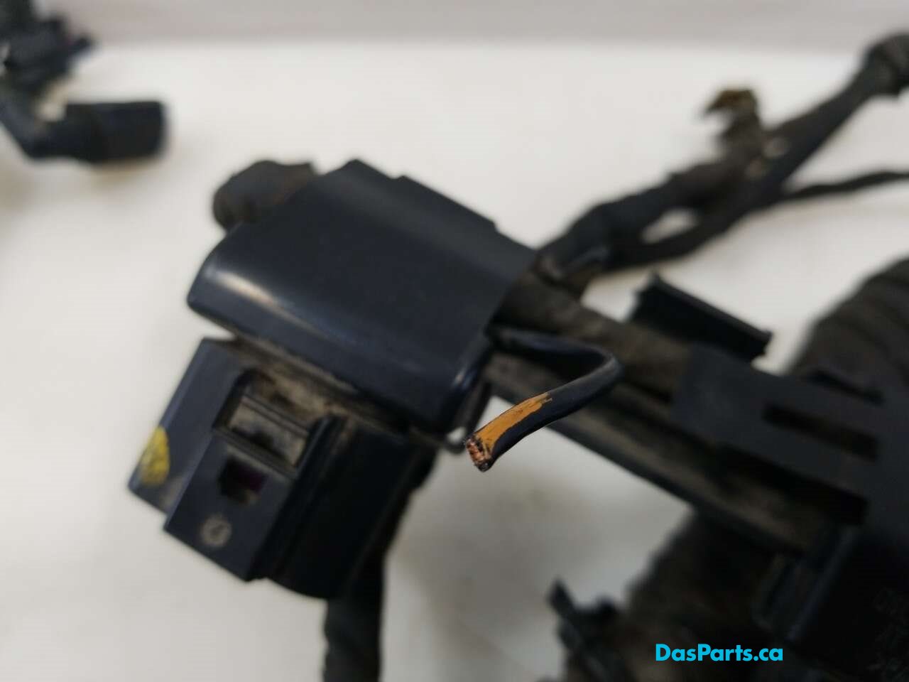 Main Engine Harness