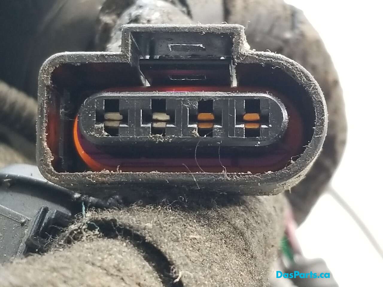 Engine Bay Harness