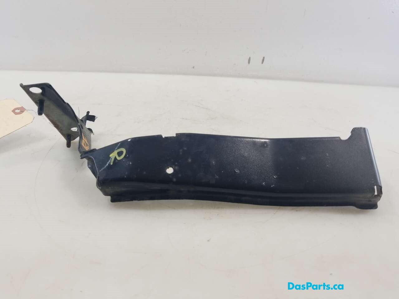 Fender Support RF
