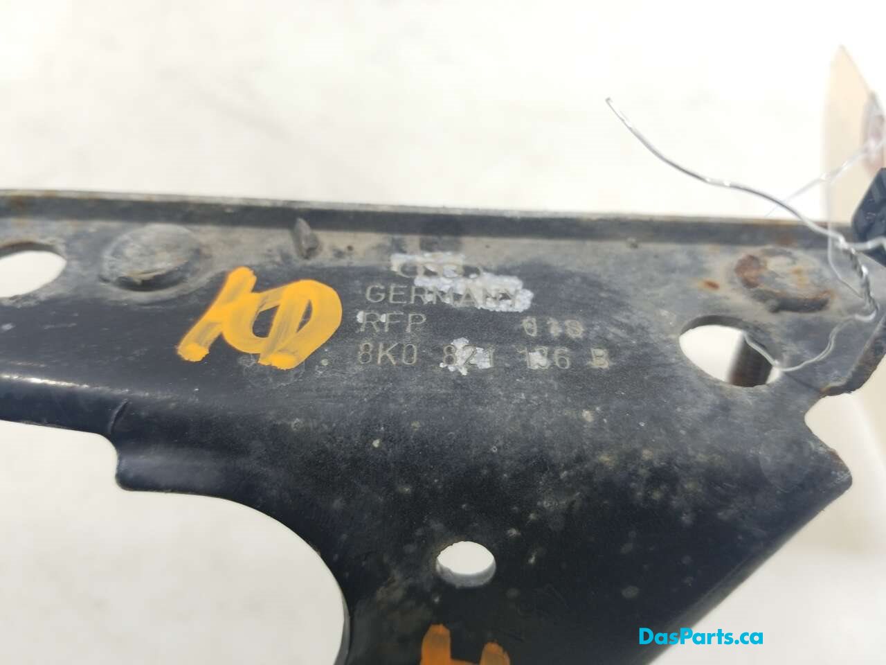 Fender Support RF