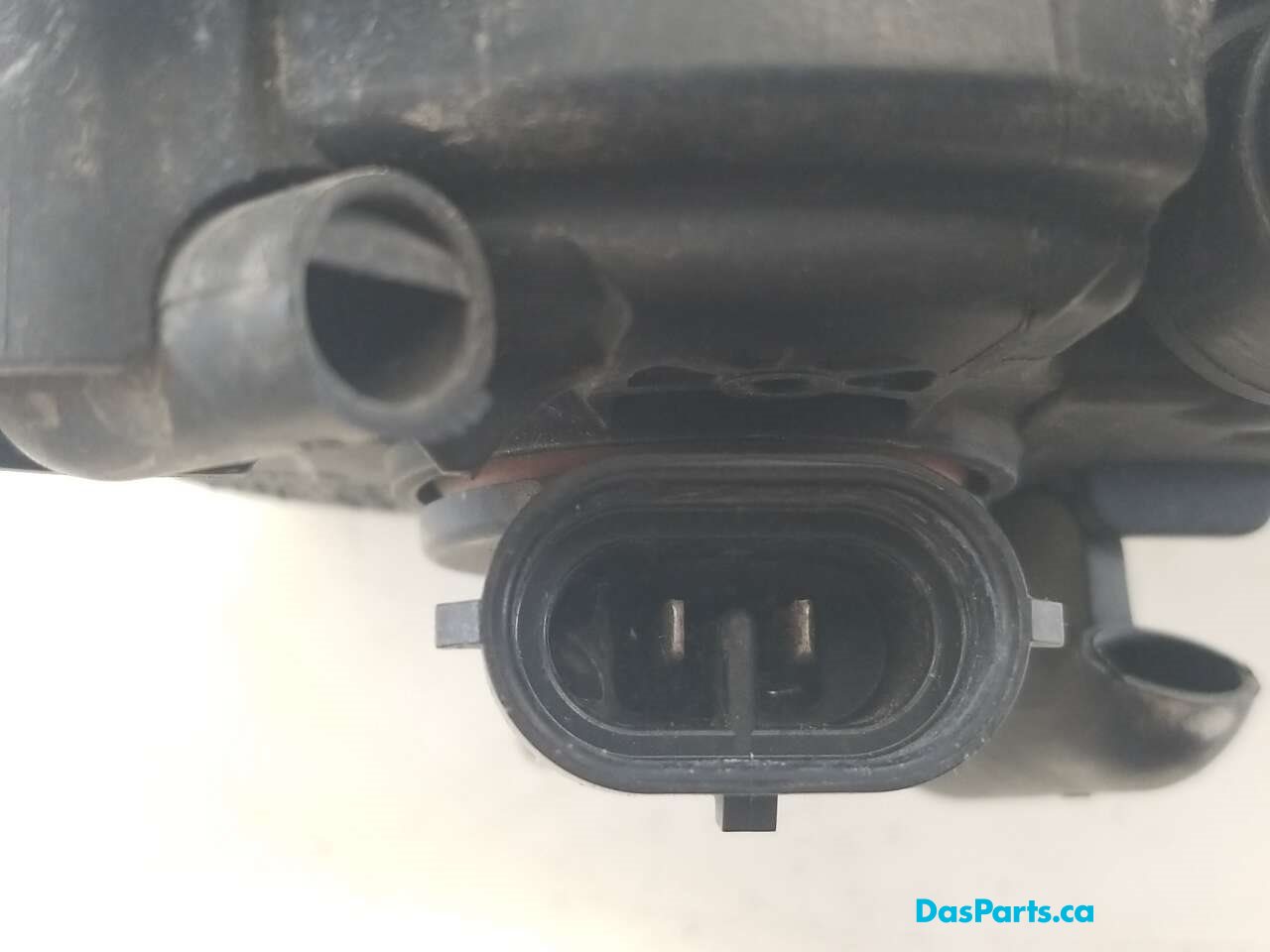 Fog Light L