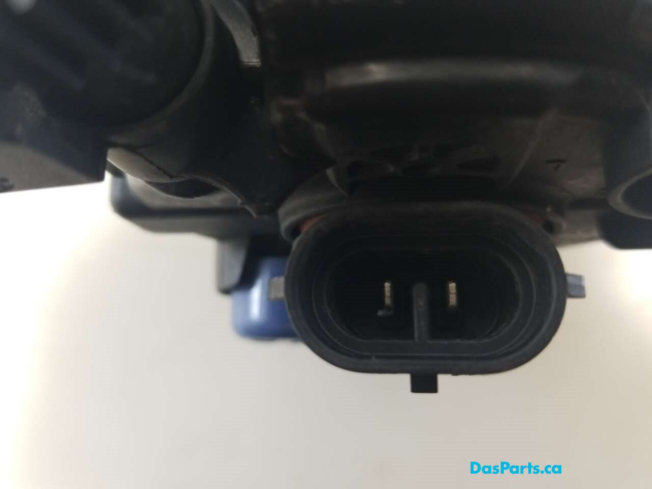 Fog Light R