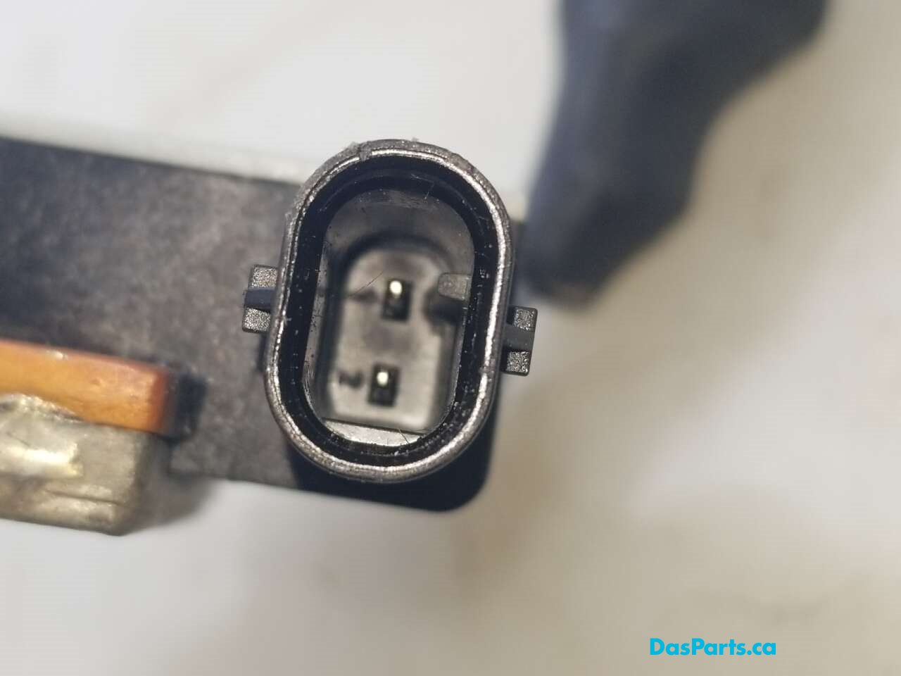 Main Ground Wire