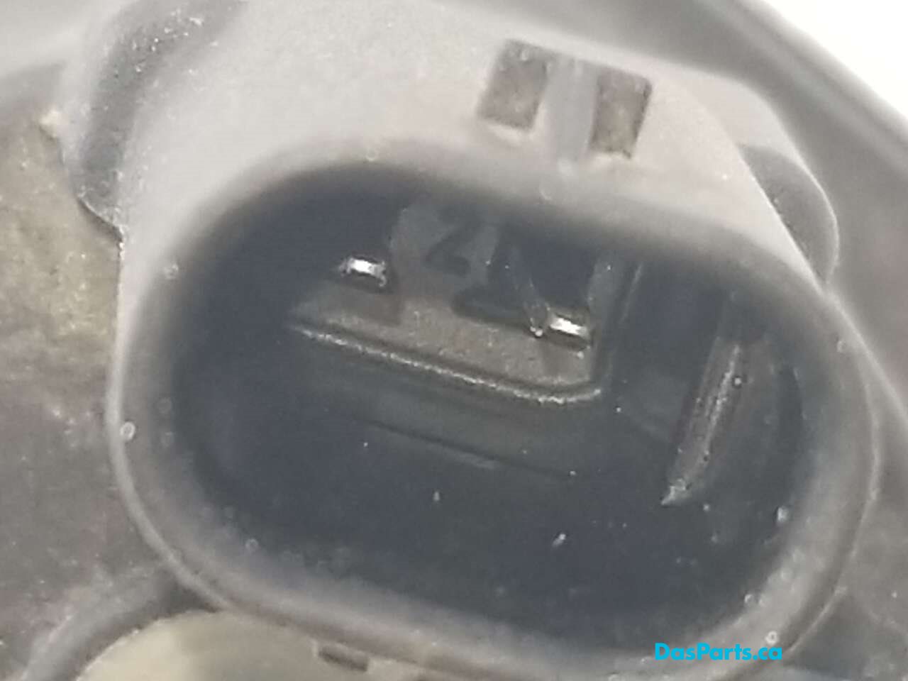 EVAP Purge Valve
