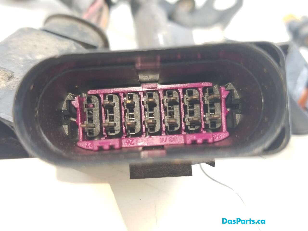 Injector Harness