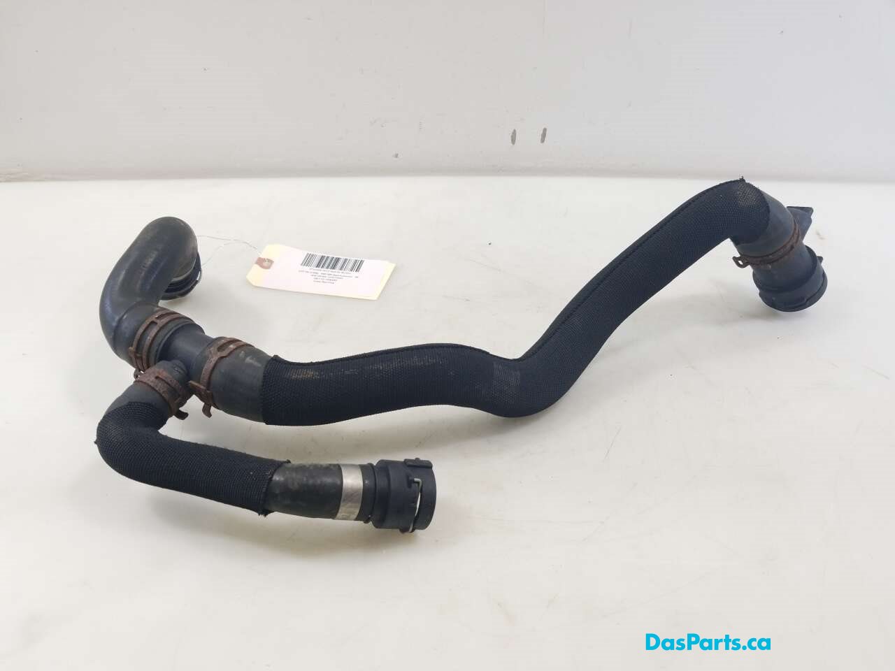Lower Rad Hose