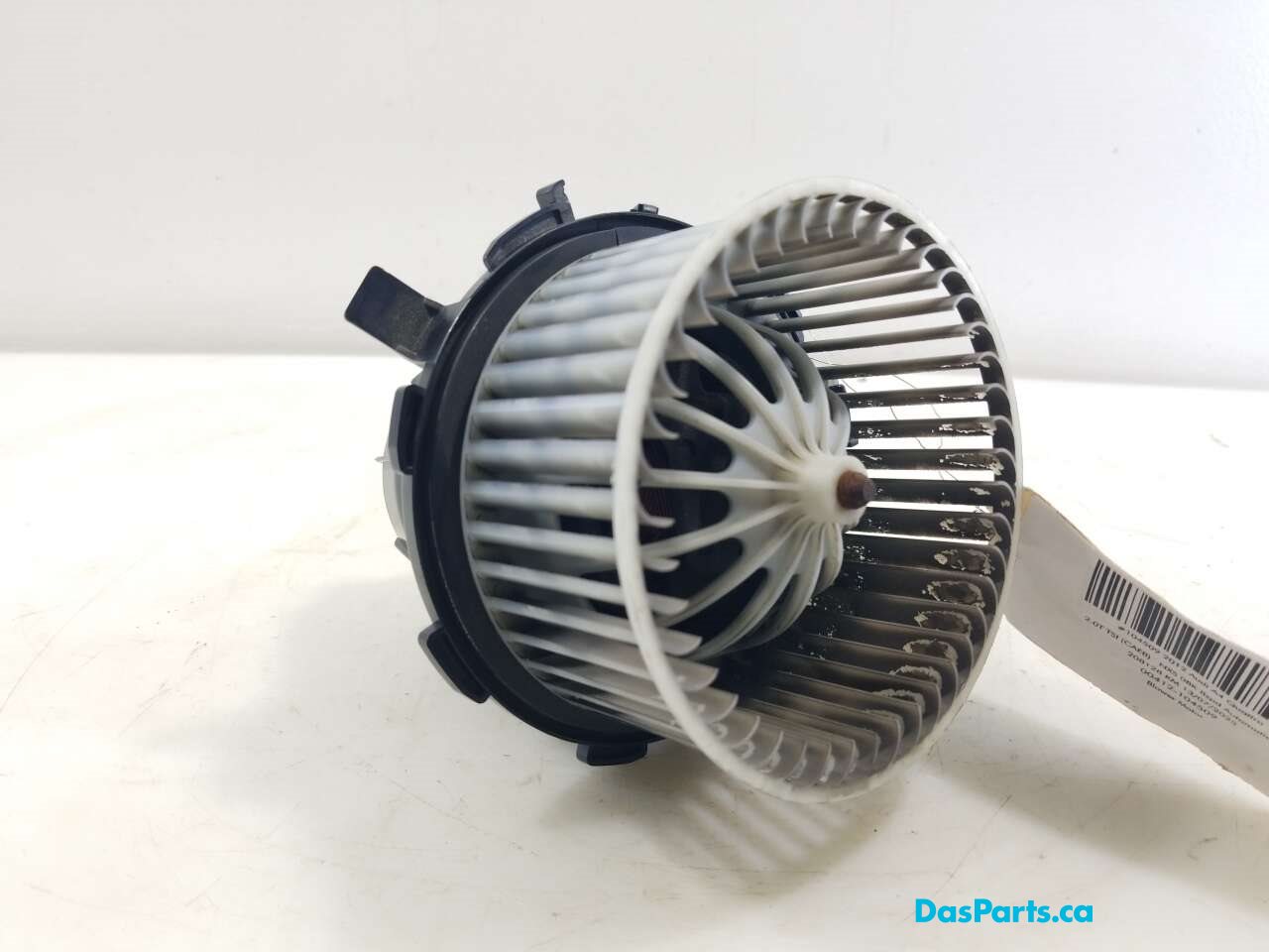 Blower Motor